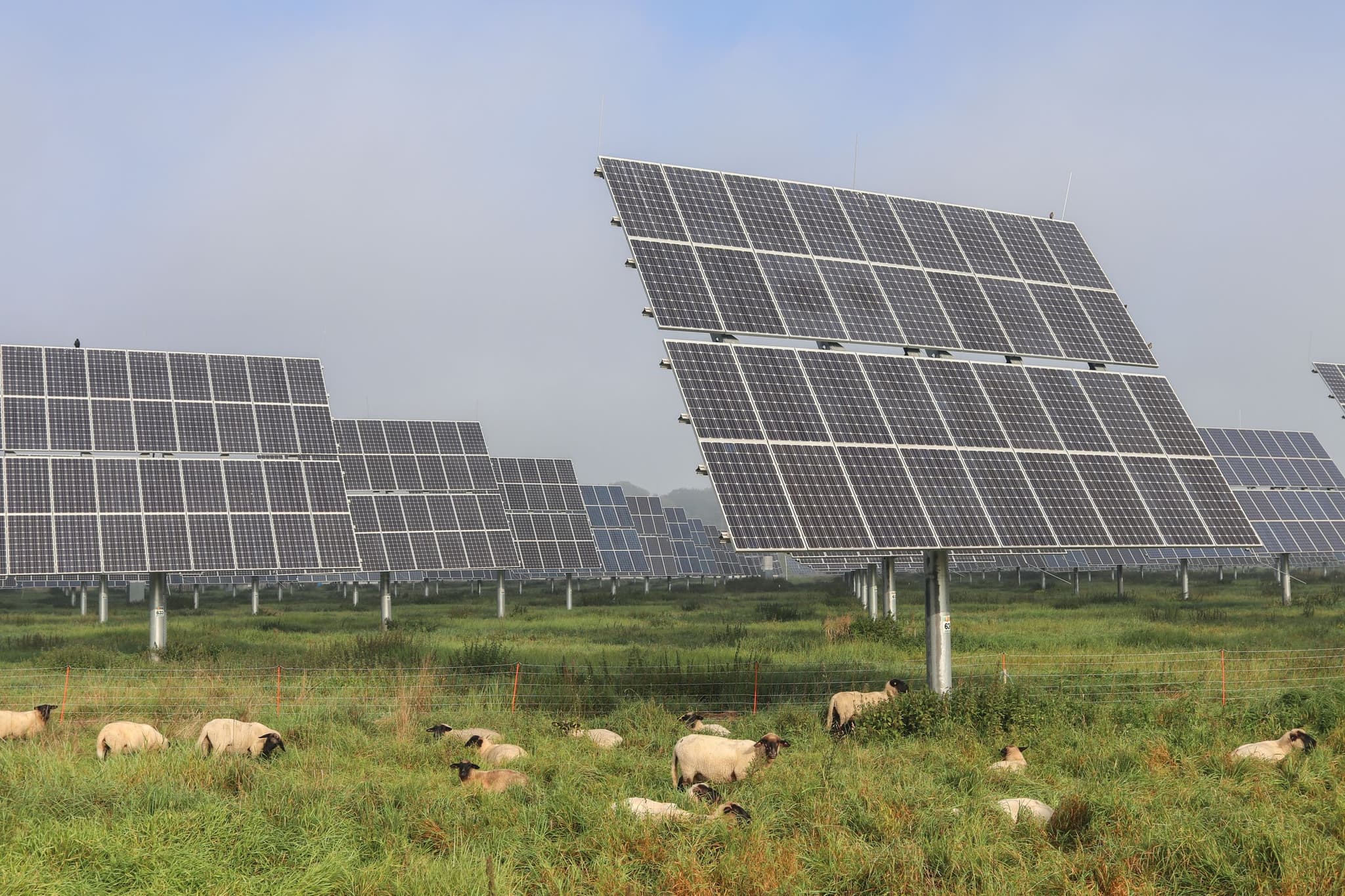 Panneaux solaires alimentant une pompe agricole